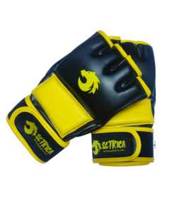 MMA Fight Gloves